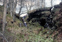 1991_CEH6961_H239