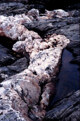 1985_CEH6188_F193