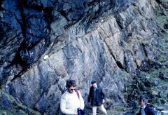 1985_CEH6219_F224