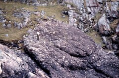 1985_CEH6226_F231