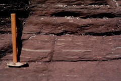 1985_CEH6233_F238