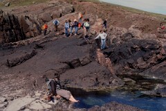 1985_CEH6234_F239
