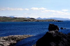 1985_CEH6235_F240