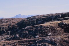 1985_CEH6241_F246