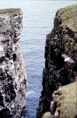 1985_CEH6242_F247