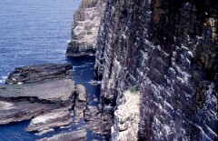 1985_CEH6243_F248