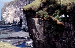 1985_CEH6246_F251
