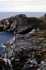 1985_CEH6250_F255