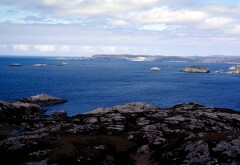 1985_CEH6254_F259