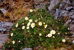 1985_CEH6270_F274