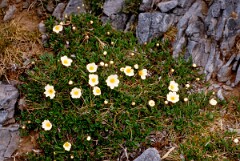 1985_CEH6271_F275