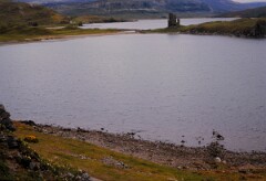 1985_CEH6272_F276