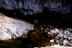 1985_CEH6280_F284