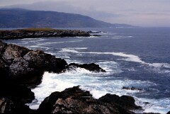 1985_CEH6282_F286