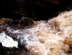 1985_CEH6287_F291