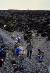 1981_CEH6772_H041