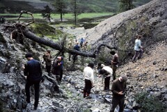 1981_CEH6773_H042