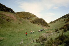 1984_0008047_Q086