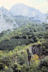 1987_0005589_N221