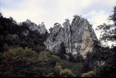 1987_0005591_N223