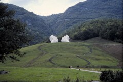 1987_0005592_N224