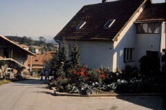 1987_0005596_N228