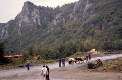 1987_0006590_N251