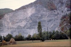 1987_0006591_N252