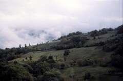 1987_0006620_N281