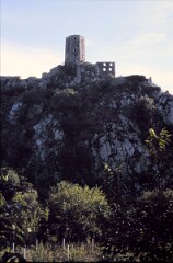 1987_0006646_N307