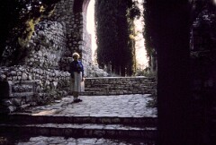 1987_0006651_N312