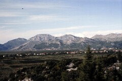 1987_0006655_N316