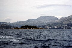 1987_0006656_N317
