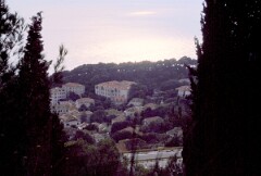 1987_0006681_N342