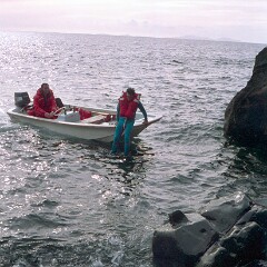 Alec Livingstone on a minerals expedition