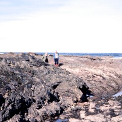 Banffshire Coast 1979