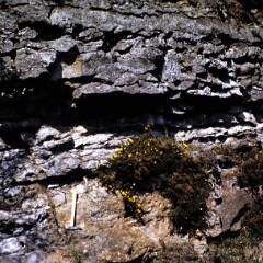Bathgate Hills 1975