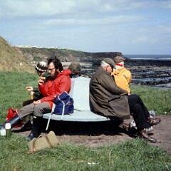Berwick 1980