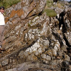 Blackstockarton Moor and Solway Coast 1986