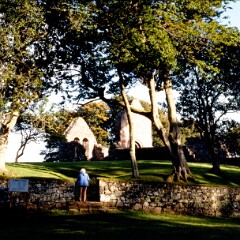 Bute 1987