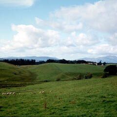 Callander 1980