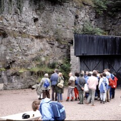 Clyde Valley 1985