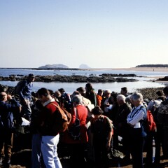 Dunbar 1979