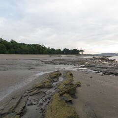 Edinburgh 2013