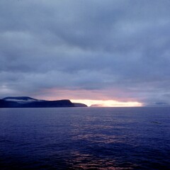 Faroe Islands 1982 Con Gillen