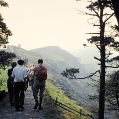 Hadrian's Wall 1982