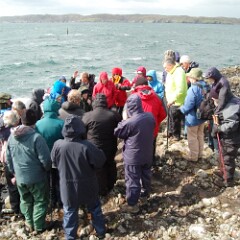 Harris 2011