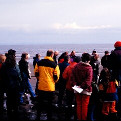 Joppa 1997