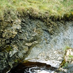 Lesmahagow 1979