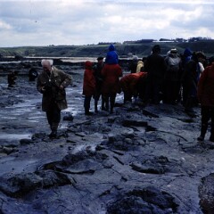 North Berwick 1977